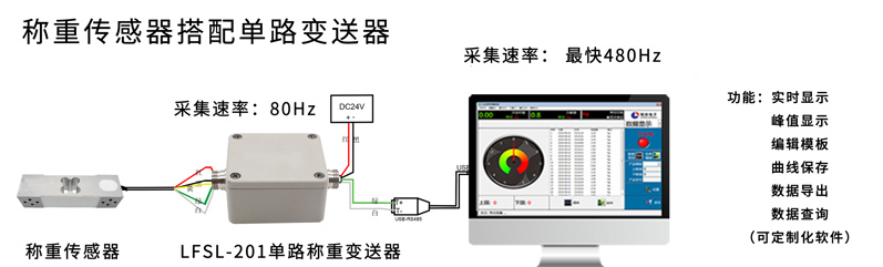 301L稱(chēng)重電腦端顯示_02